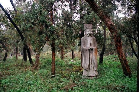 CHINA: EL BOSQUE SAGRADO DE CONFUCIO