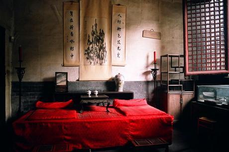 CHINA: EL BOSQUE SAGRADO DE CONFUCIO