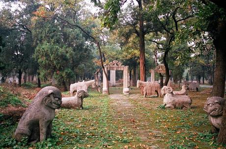 CHINA: EL BOSQUE SAGRADO DE CONFUCIO