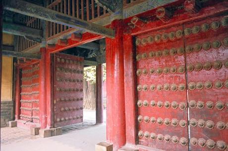 CHINA: EL BOSQUE SAGRADO DE CONFUCIO