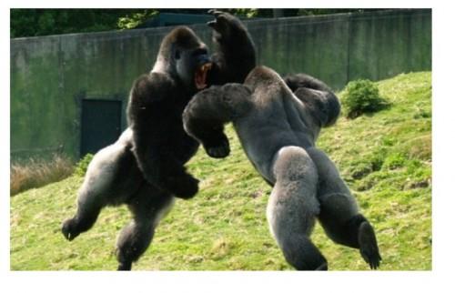 espejismos perversos