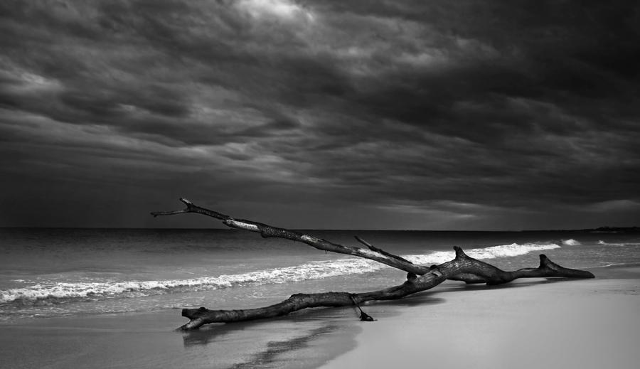 Supervivientes - Relativismo