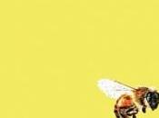 Pharmacists Brutalist Bricks