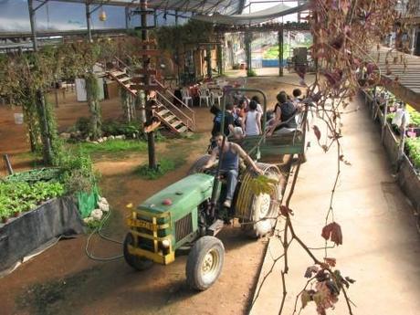 tractor-greenhouse-500x375