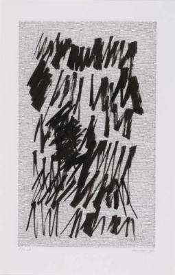 0030559schoonhoven_j