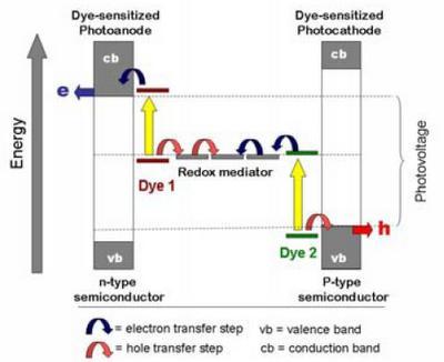 Impresión de células solares como los billetes de plástico Impresión de células solares como los billetes de plástico