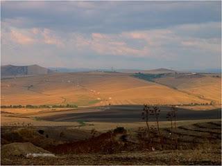 SORPRENDENTE HALLAZGO DE HUESOS CON PROCEDENCIA ASIATICA EN ITALIA A COMIENZOS DEL IMPERIO ROMANO