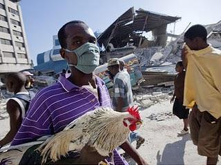 Los animales en Haití: 1 mes después