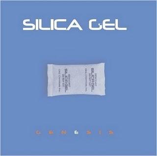 Mi Música: SILICA GEL - GENESIS