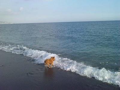 Milos - Finde en la playa