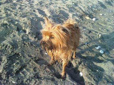 Milos - Finde en la playa