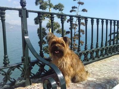 Milos - Finde en la playa