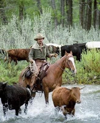 Crítica: Open Range Crítica: Open Range