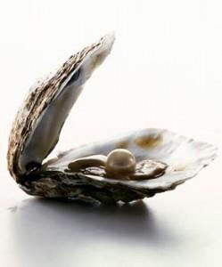 Las Ostras También Ayudan a Conservar La Visión