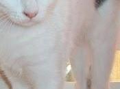 Jason, pequeño superviviente (Murcia)