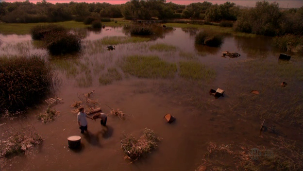 Review de Dexter 5x04 Beast and the Beauty y promo y escenas del 5x05 subtituladas