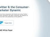 Twitter Consumer Marketer Dynamic