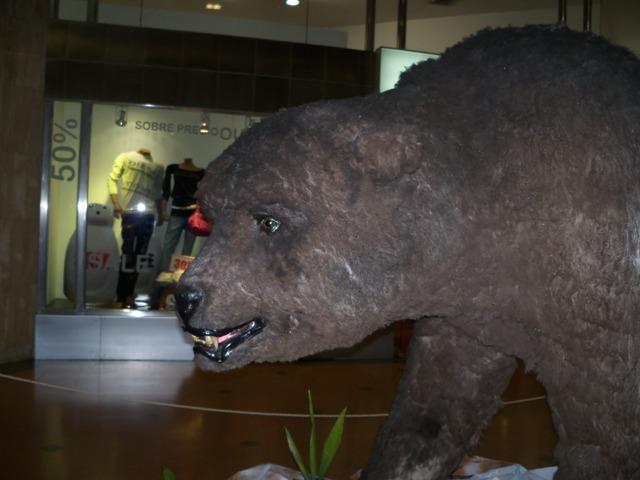 Los Gigantes de la Era de Hielo. Exposición Checa en Colombia