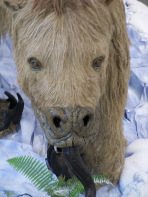 Los Gigantes de la Era de Hielo. Exposición Checa en Colombia