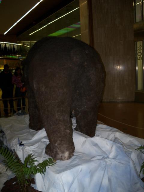 Los Gigantes de la Era de Hielo. Exposición Checa en Colombia