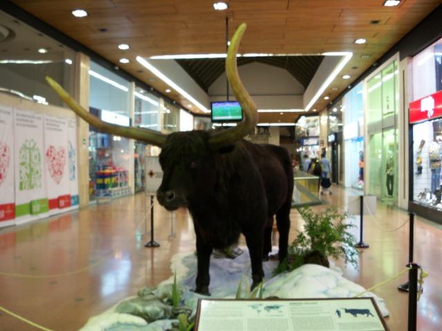 Los Gigantes de la Era de Hielo. Exposición Checa en Colombia