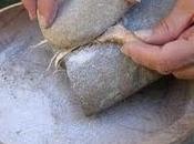 dieta alimentaria humana hace 30.000 años