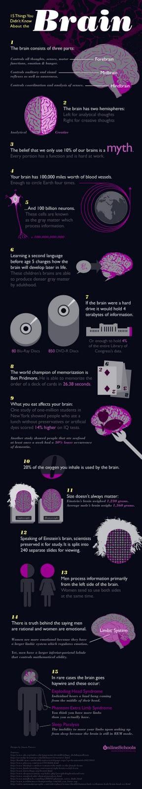 Algunos datos sobre el cerebro, mostrados de manera visual