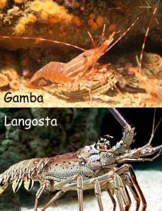 Gamba y Langosta