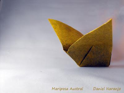 Mariposa Austral