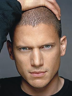 Wentworth Miller sustituto de Andy Whitfield??