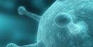 Una vacuna sintética como solución universal a los distintos tipos de gripe