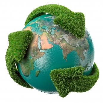 medio20ambiente La Empresa Verde