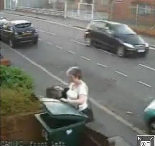 284 euros de multa a la británica que tiró un gato a la basura