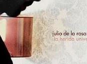 Julio Rosa Herida Universal (2010)