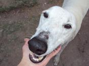 Jonás "nuestro" campeón