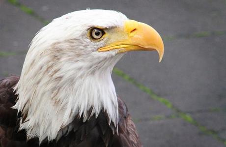 Los 10 artículos más visitados en Galería Fotográfica de Italia en el mes de Diciembre de 2014.