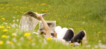 (Image source: solanabeachchamber.com)