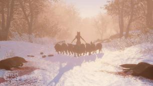 WiLD muestra nuevas imágenes