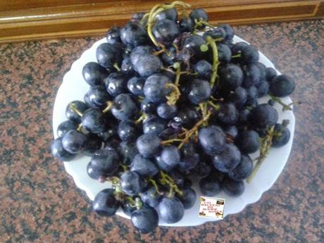 GELATINA DE TRES CLASES DE UVAS