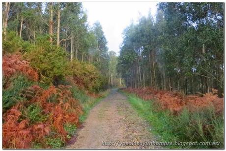 Ferrol running, otra ruta, de Campelo al Faro de Punta Frouxeira