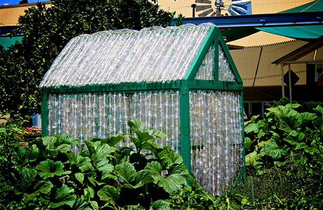 8 Ventajas de tener un invernadero invernadero con botellas