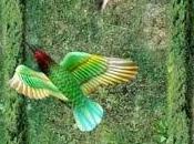 Videoarte Camagüey FIVAC-2015 Ausín Sáinz