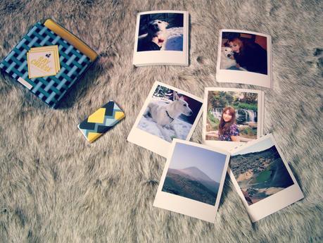 Sponsors Printklub: Polabox