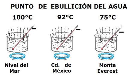 La olla de vapor, la física del comer rápido y bien