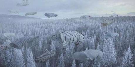 ikea-the-joy-storage01