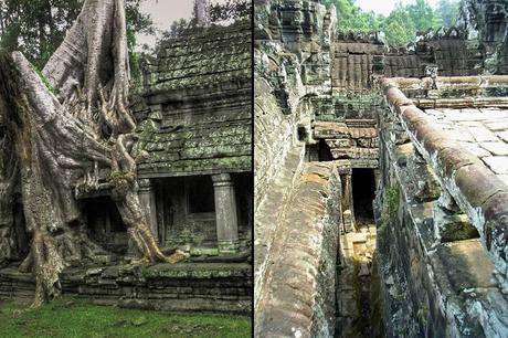 Angkor Wat Tree on left and cramped corridors of ancient Bayon