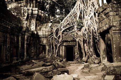 Tomb Raider (Ta Prohm, Siem Reap, Cambodia)