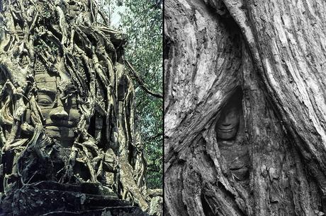 Buddha being swallowed by roots at Angkor Archaeological Park