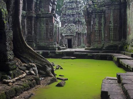 Echoes of Silence; the beauty and mystical ambiance of Ta Prohm. Angkor, Cambodia