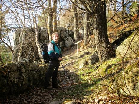 MUÉRDAGO EN EL CERRO DE LOS ÁLAMOS BLANCOS